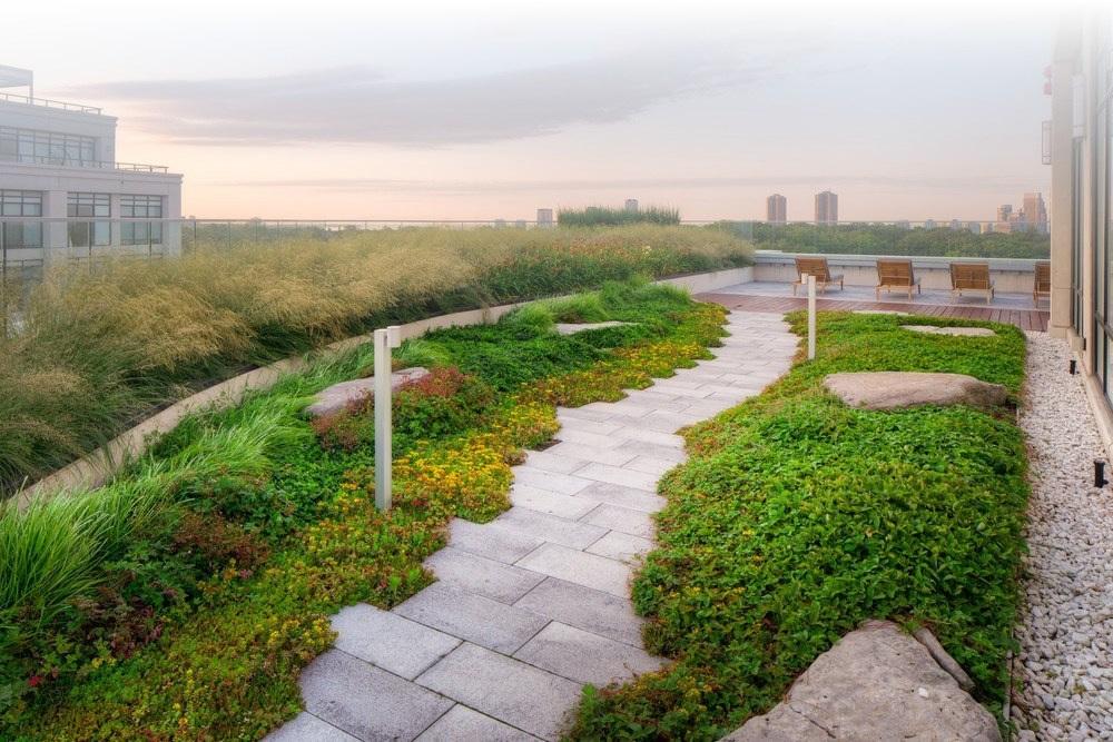 Green Roofs Save Your Money and Save the Environment